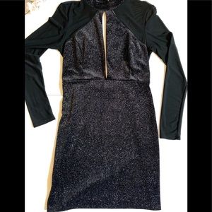 Mesh long sleeve glitter body con dress